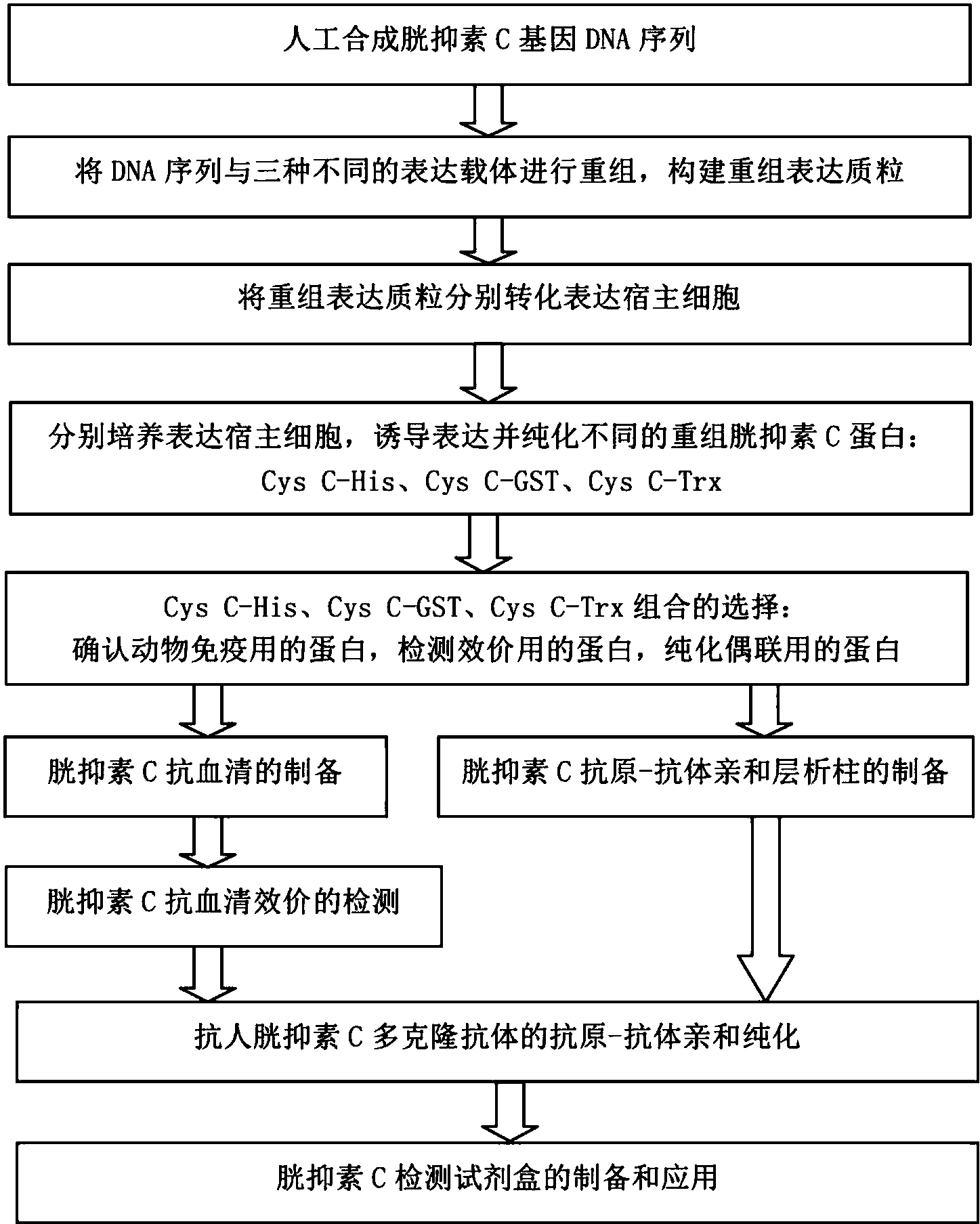 星空体育app