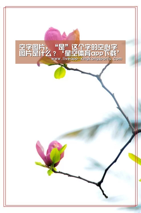 星空体育