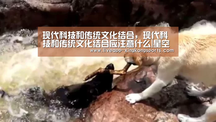 星空体育app下载