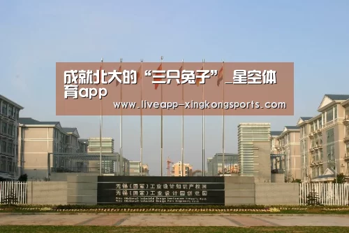 星空体育app