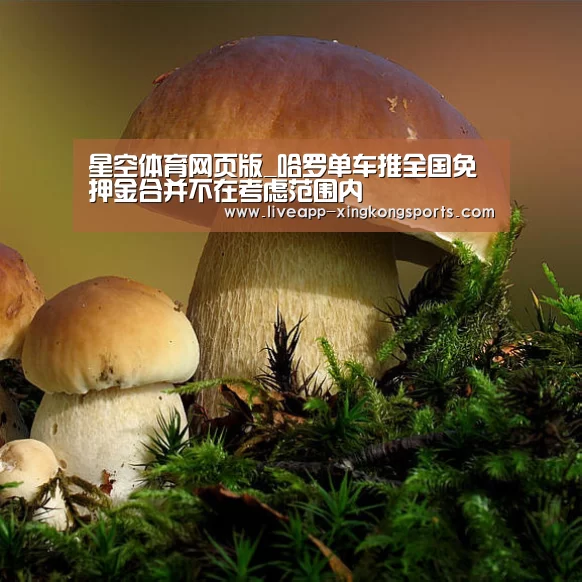 星空体育网页版_哈罗单车推全国免押金合并不在考虑范围内(图1) 星空体育