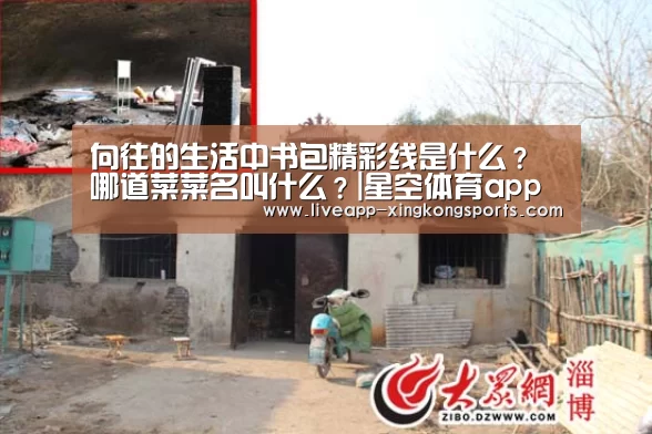 向往的生活中书包精彩线是什么？哪道菜菜名叫什么？|星空体育app
